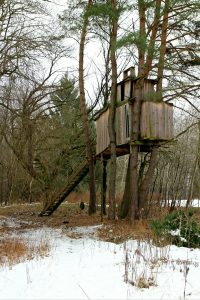 treehouse-255518_1920