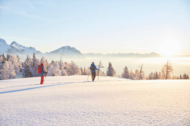 Activité montagne randaonnée raquettes